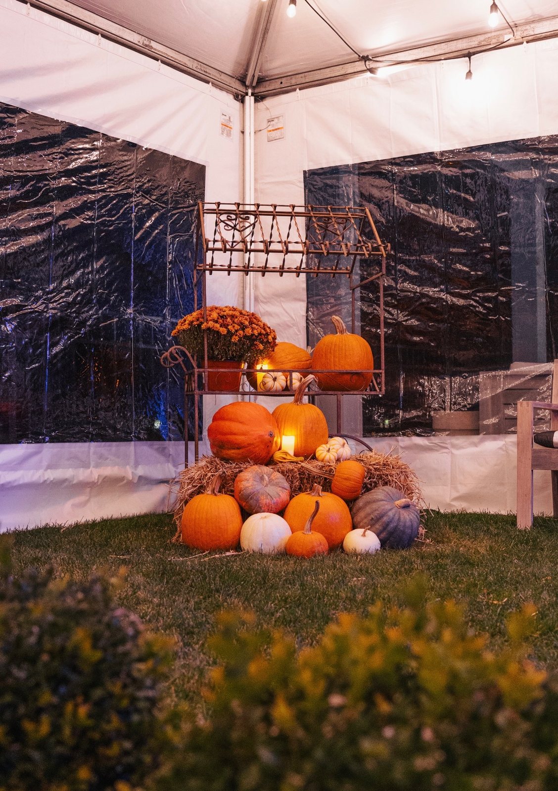 Friendsgiving photo 19 of 19